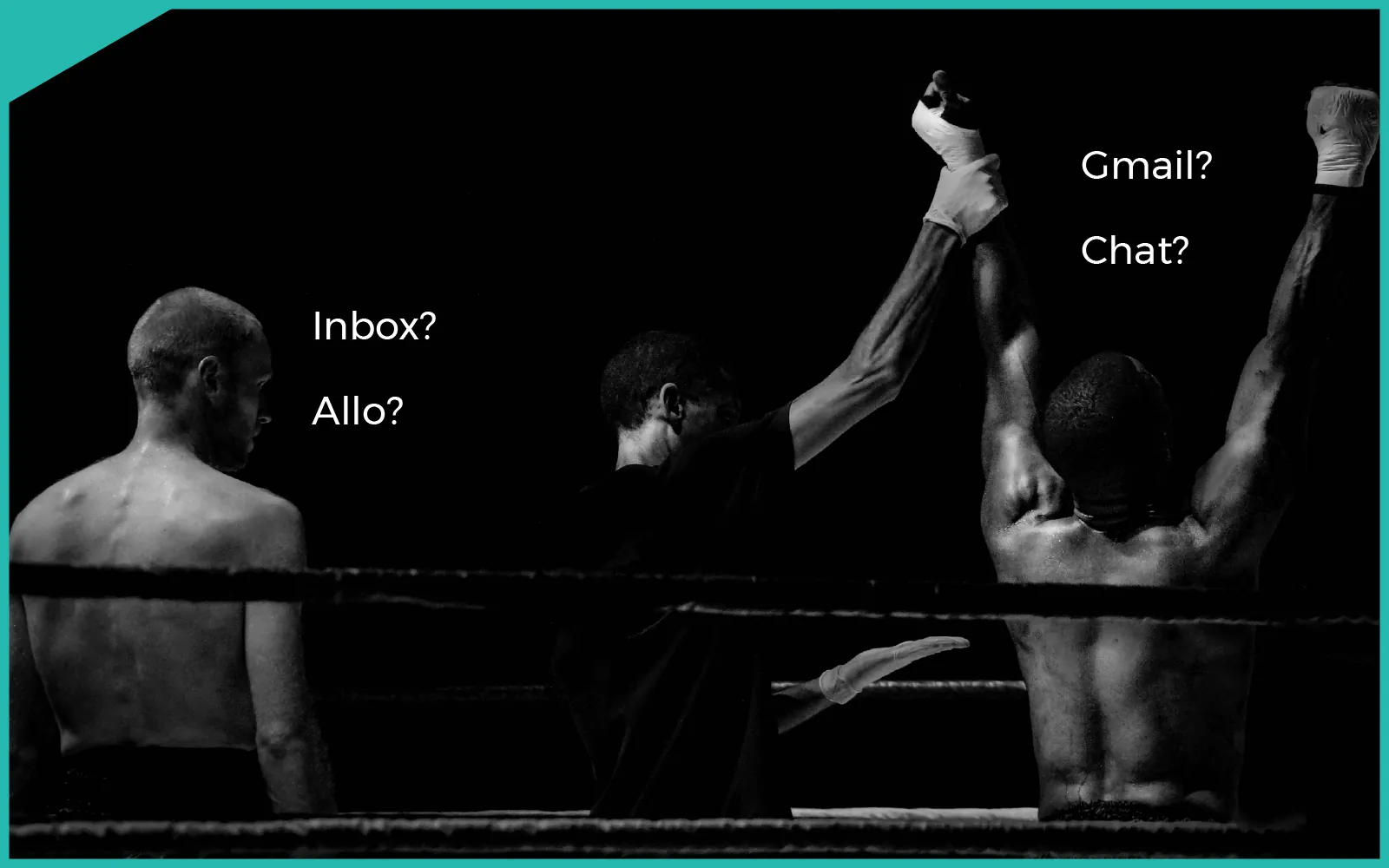 Boxer in fighting stance