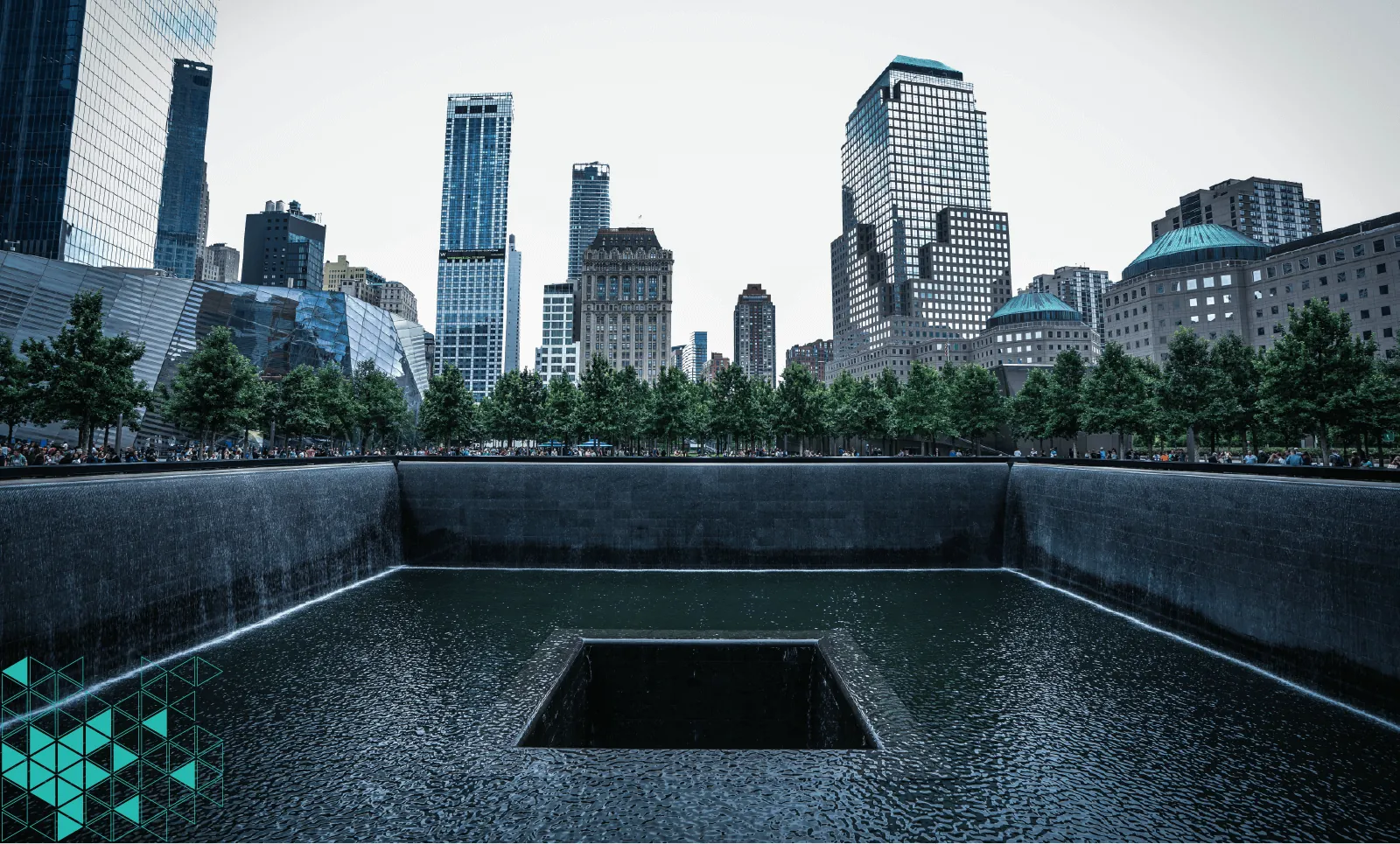 The Lone Wolf architect story