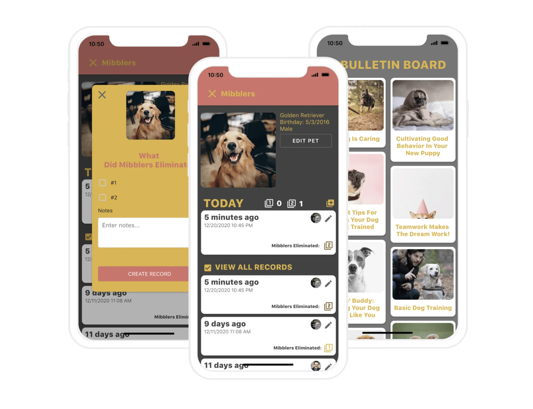 Doggy Door app showcase