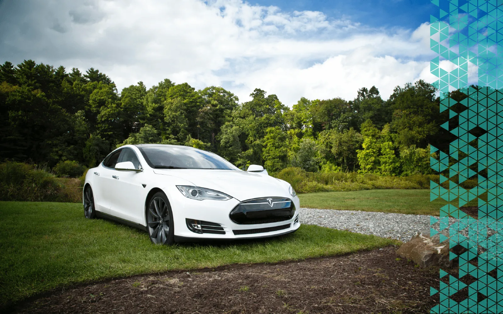 Tesla and SpaceX leadership