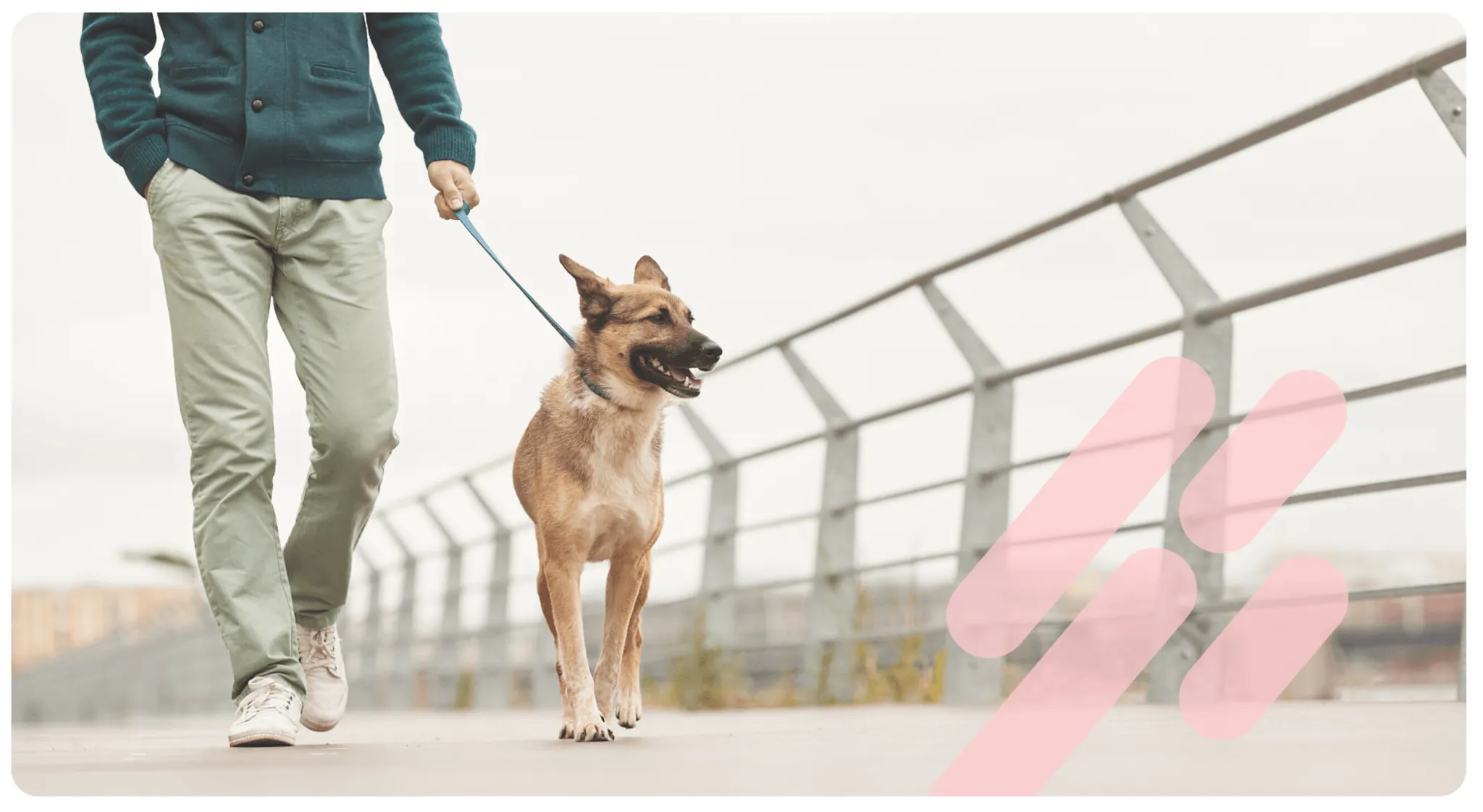 Taking a break from app development