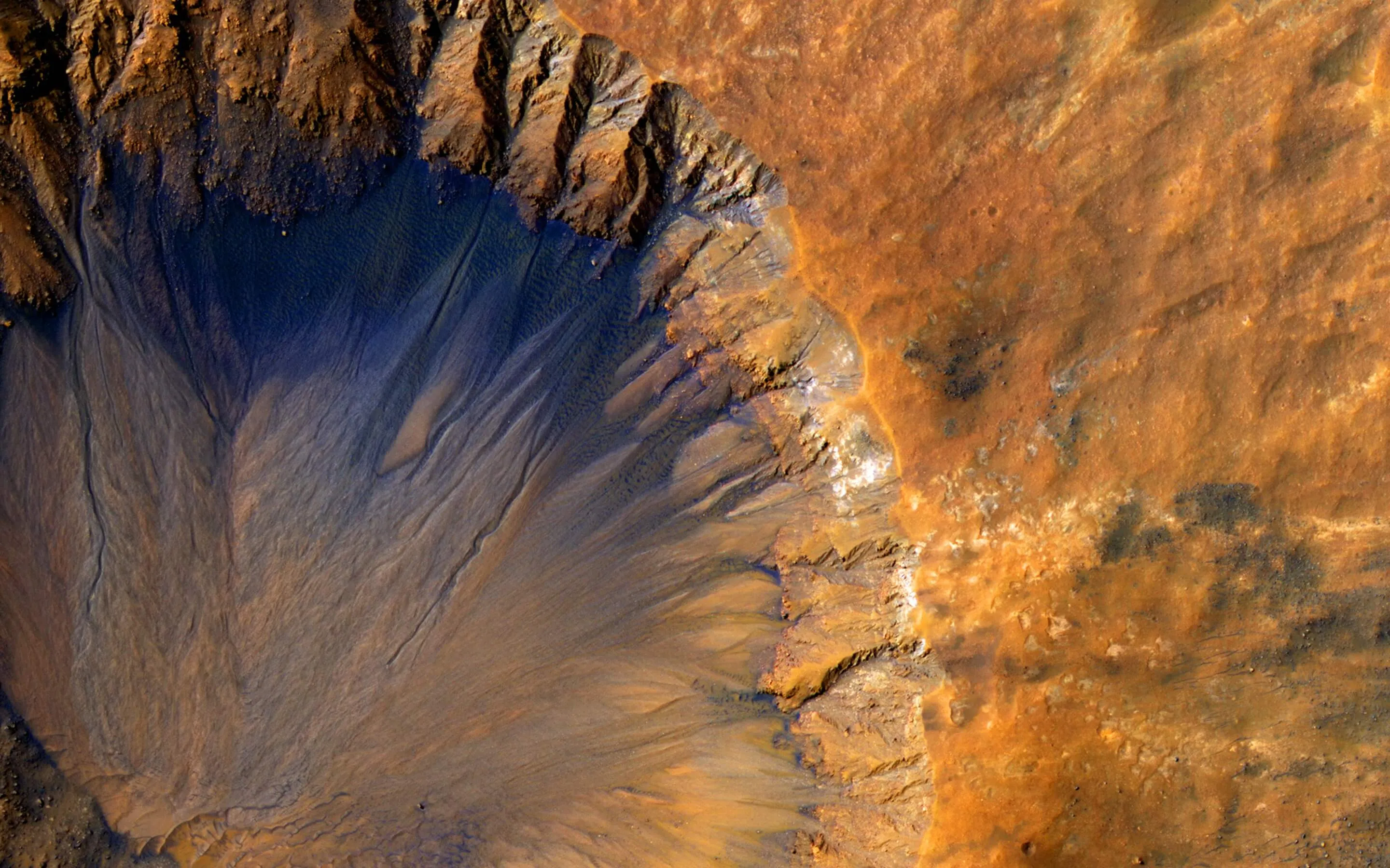 Finding Empathy: An Out-of-This-World Guide!