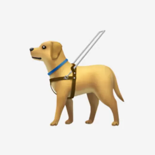 Custom Navigation icon
